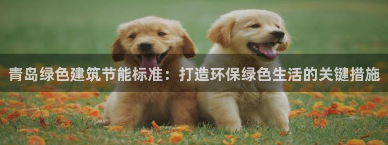 E尊国际网站：青岛绿色建筑节能标准：打造环保绿色生活的关键措施