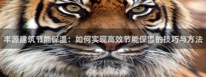 e尊国际娱乐官网下载：丰源建筑节能保温：如何实现高效节能保温的技巧与方法