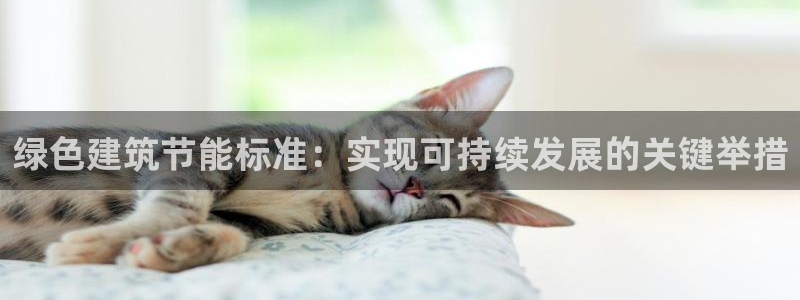 e尊国际客户端：绿色建筑节能标准：实现可持续发展的关键举措