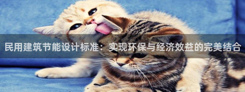 尊亿游戏国际官网：民用建筑节能设计标准：实现环保与经济效益的完美结合