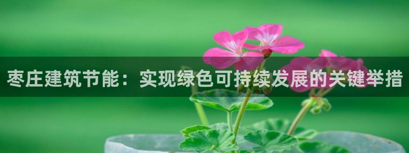 e尊国际7779：枣庄建筑节能：实现绿色可持续发展的关键举措