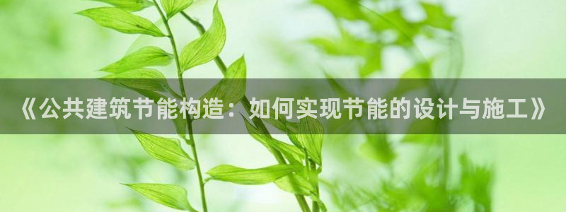 e尊国际娱乐官网下载：《公共建筑节能构造：如何实现节能的设计与施工》