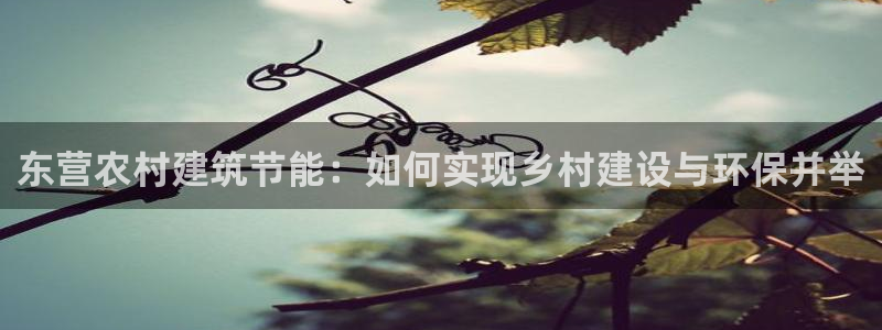 e尊国际7779：东营农村建筑节能：如何实现乡村建设与环保并举