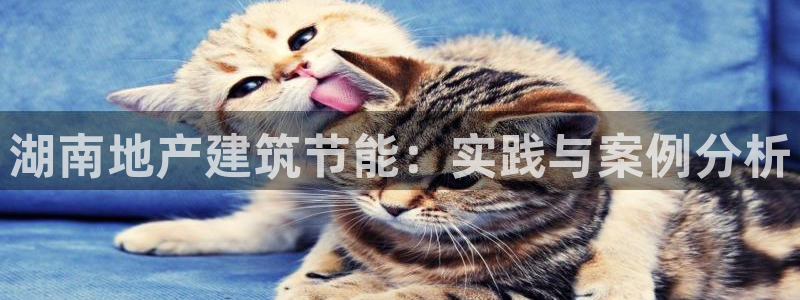 e尊国际官方网站：湖南地产建筑节能：实践与案例分析