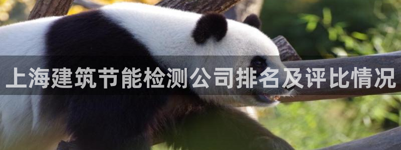 e尊国际平台：上海建筑节能检测公司排名及评比情况