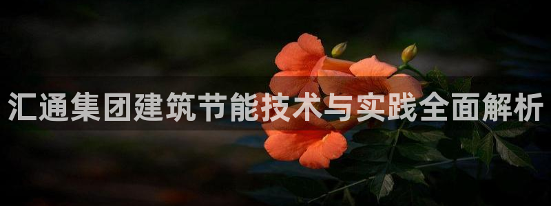 e尊国际地址：汇通集团建筑节能技术与实践全面解析