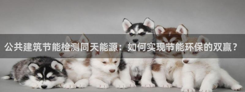 e尊国际官网：公共建筑节能检测同天能源：如何实现节能环保的双赢？