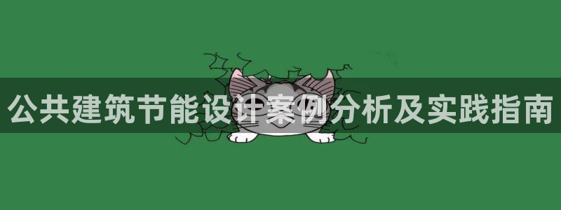 e尊国际可靠吗：公共建筑节能设计案例分析及实践指南
