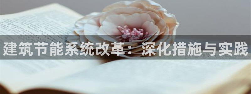 E尊国际网站：建筑节能系统改革：深化措施与实践
