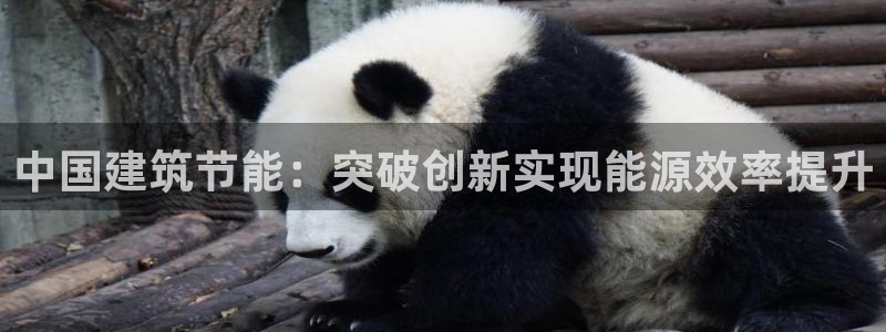 e尊国际娱乐官网下载：中国建筑节能：突破创新实现能源效率提升