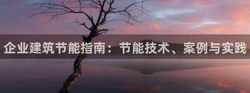 e尊电竞：企业建筑节能指南：节能技术、案例与实践