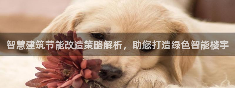 E尊国际网站