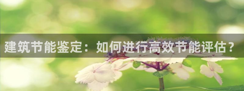 e尊国际娱乐官网地址：建筑节能鉴定：如何进行高效节能评估？
