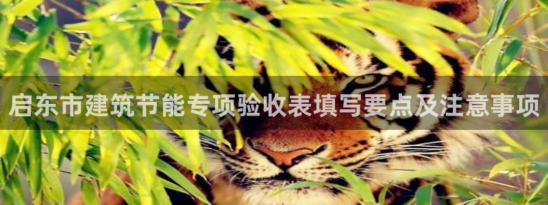 e尊国际是个黑网：启东市建筑节能专项验收表填写要点及注意事项