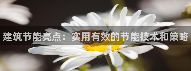 e尊官网：建筑节能亮点：实用有效的节能技术和策略