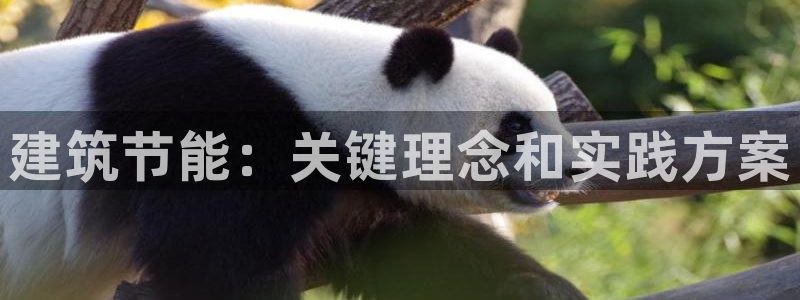 尊亿娱乐国际官网：建筑节能：关键理念和实践方案