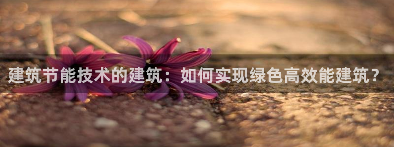e尊国际app