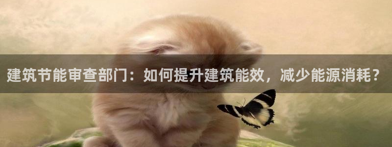 e尊国际网址：建筑节能审查部门：如何提升建筑能效，减少能源消耗？