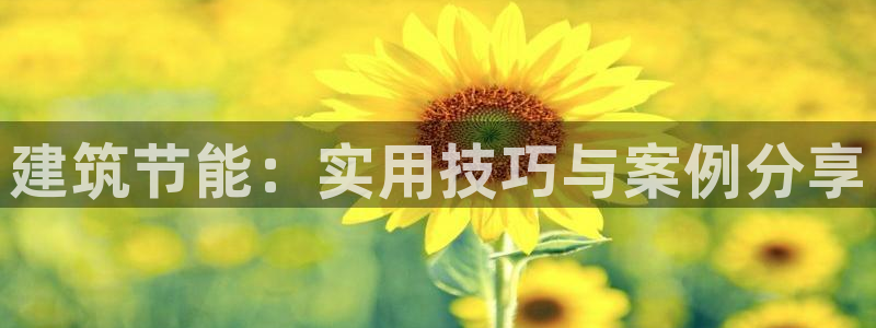 尊亿娱乐国际官网