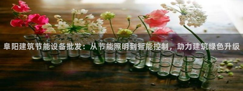 e尊官网：阜阳建筑节能设备批发：从节能照明到智能控制，助力建筑绿色升级