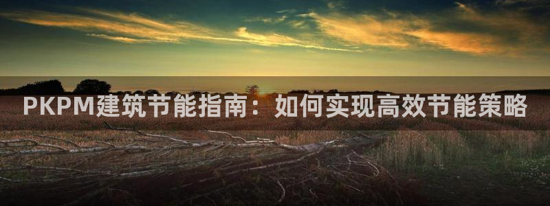 e尊国际地址：PKPM建筑节能指南：如何实现高效节能策略