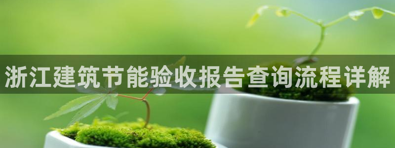 e尊国际网址：浙江建筑节能验收报告查询流程详解