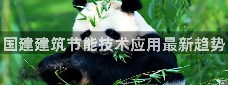 e尊国际官网