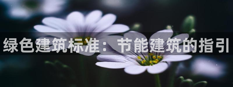 e尊国际-e尊国际官网：绿色建筑标准：节能建筑的指引