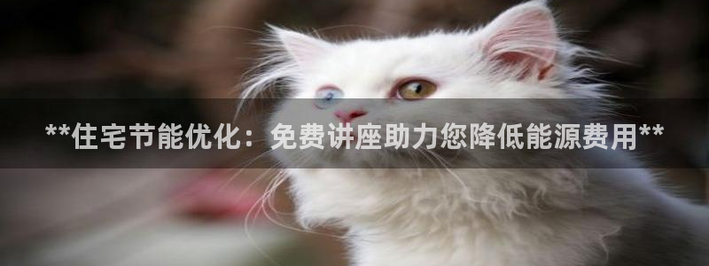 E尊国际：**住宅节能优化：免费讲座助力您降低能源费用**