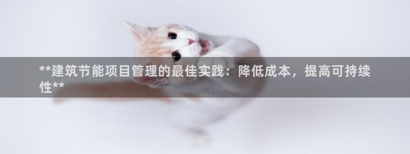 e尊国际官方网站：**建筑节能项目管理的最佳实践：降低成本，提高可持续
性**
