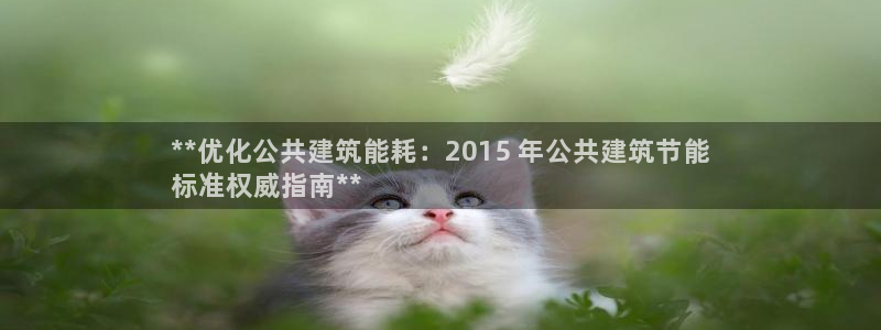 e尊国际是个黑网：**优化公共建筑能耗：2015 年公共建筑节能
标准权威指南**