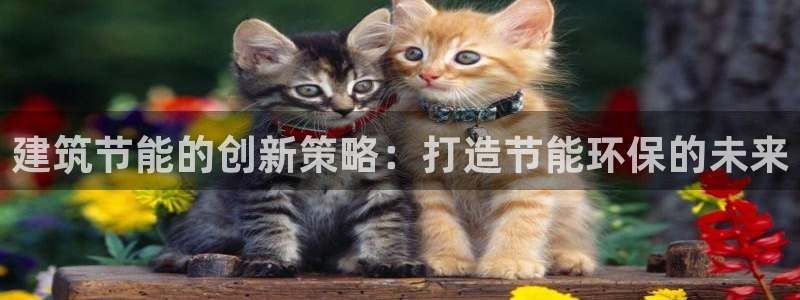 e尊平台：建筑节能的创新策略：打造节能环保的未来