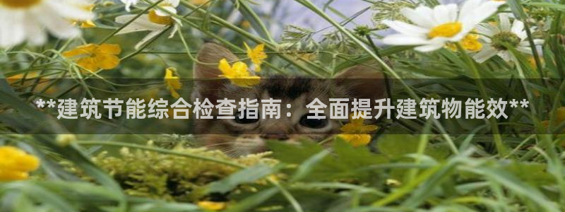 e尊国际7779：**建筑节能综合检查指南：全面提升建筑物能效**