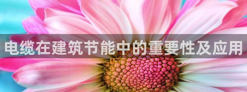 e尊平台：电缆在建筑节能中的重要性及应用