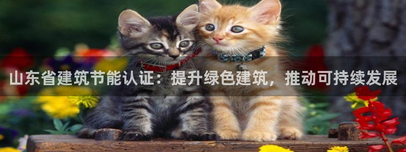 e尊国际-e尊国际官网：山东省建筑节能认证：提升绿色建筑，推动可持续发展