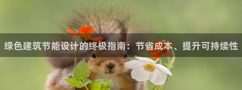 e尊国际可靠吗：绿色建筑节能设计的终极指南：节省成本、提升可持续性