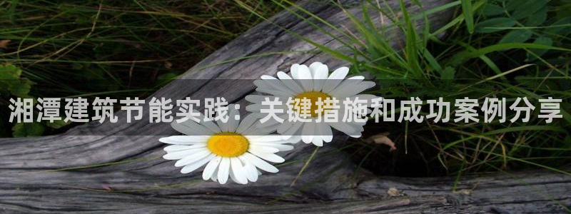e尊电竞：湘潭建筑节能实践：关键措施和成功案例分享