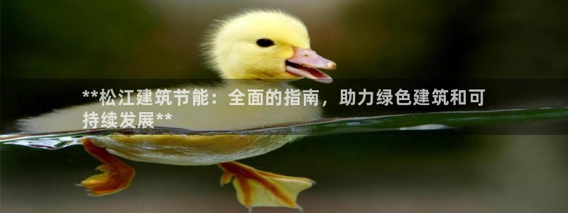 E尊国际网站：**松江建筑节能：全面的指南，助力绿色建筑和可
持续发展**