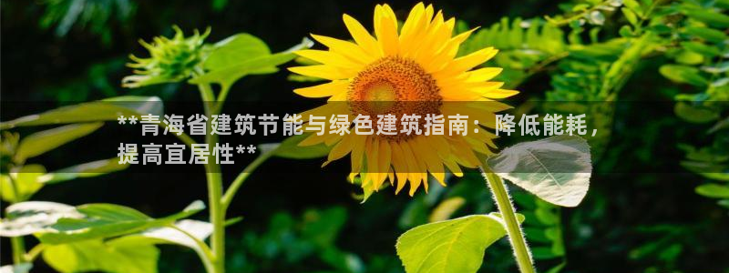 e尊国际-e尊国际官网