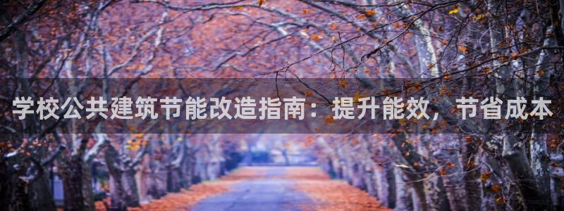 e尊国际可靠吗：学校公共建筑节能改造指南：提升能效，节省成本