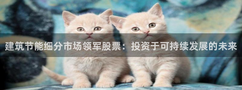 e尊国际地址：建筑节能细分市场领军股票：投资于可持续发展的未来