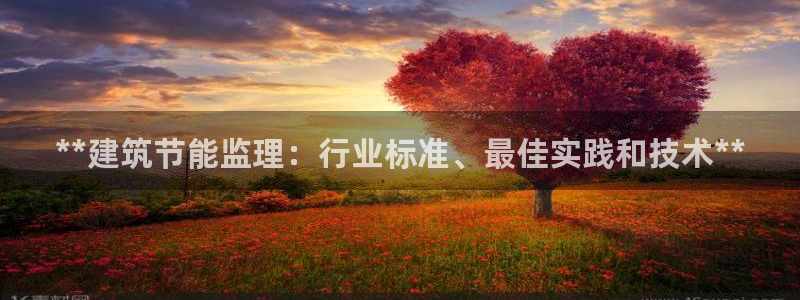 e尊国际-e尊国际官网：**建筑节能监理：行业标准、最佳实践和技术**