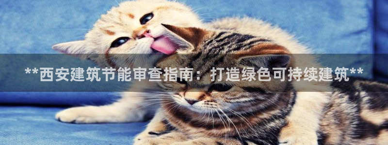 e尊国际-可可计划：**西安建筑节能审查指南：打造绿色可持续建筑**