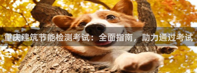 尊亿娱乐国际官网：重庆建筑节能检测考试：全面指南，助力通过考试