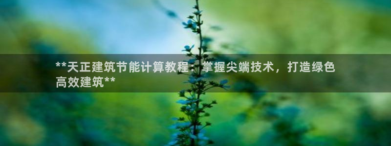 e尊国际-e尊国际官网：**天正建筑节能计算教程：掌握尖端技术，打造绿色
高效建筑**