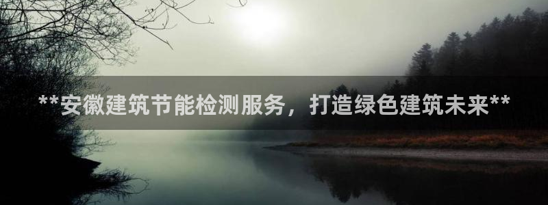 e尊国际客户端：**安徽建筑节能检测服务，打造绿色建筑未来**