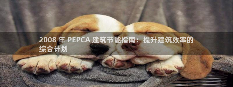 e尊国际网址：2008 年 PEPCA 建筑节能指南：提升建筑效率的
综合计划