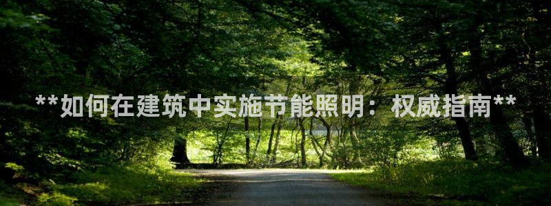 e尊国际是干什么的：**如何在建筑中实施节能照明：权威指南**