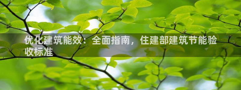 e尊国际客服：优化建筑能效：全面指南，住建部建筑节能验
收标准