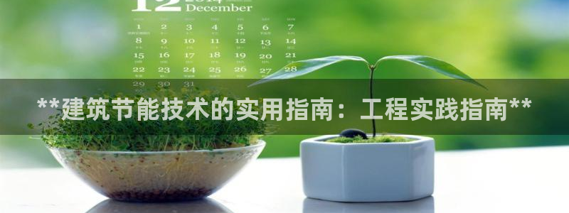 e尊平台：**建筑节能技术的实用指南：工程实践指南**